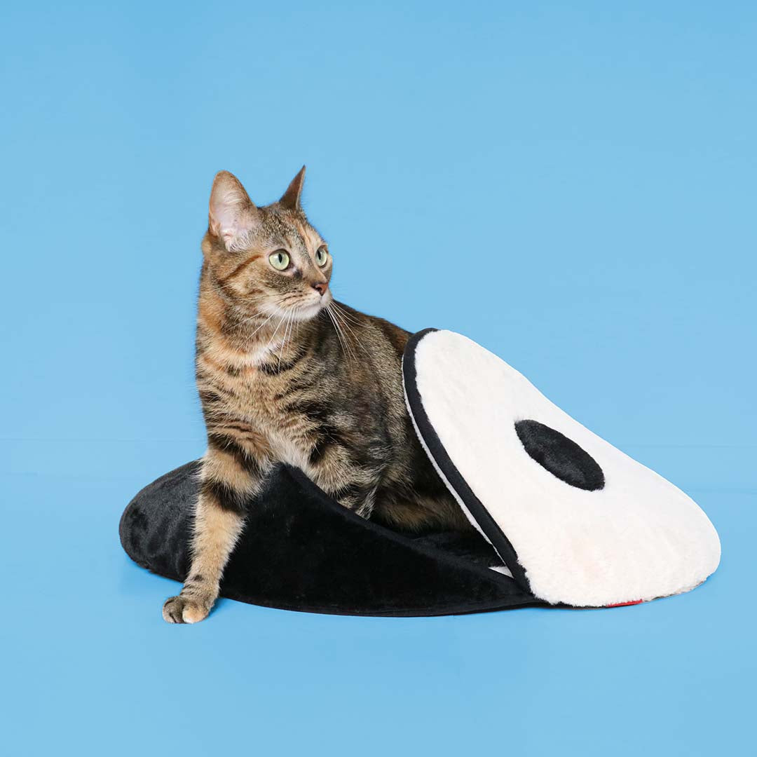Cat Cave Zen Zone