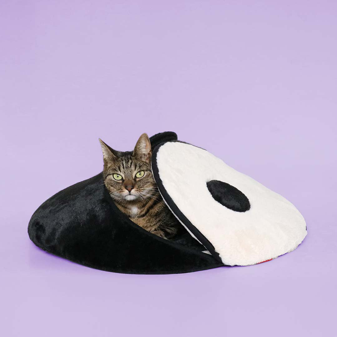 Cat Cave Zen Zone