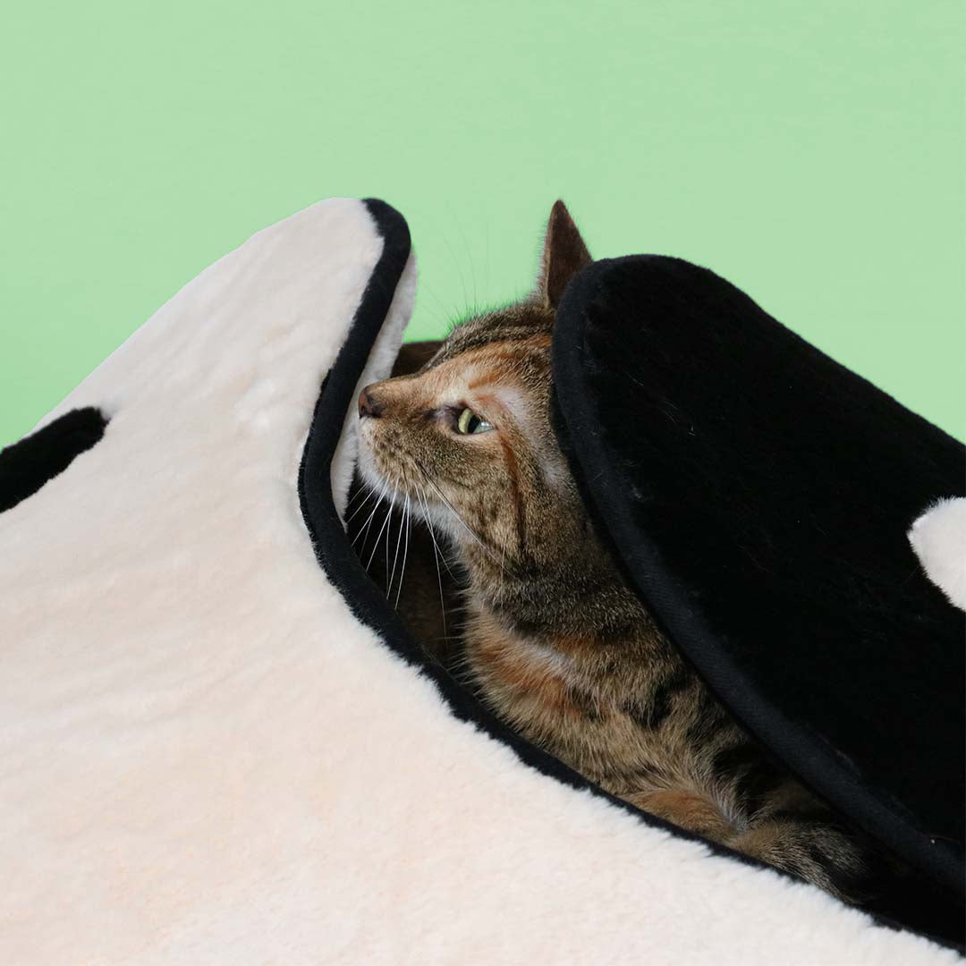 Cat Cave Zen Zone