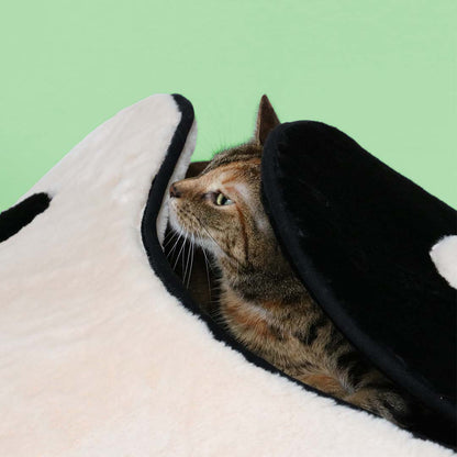 Cat Cave Zen Zone