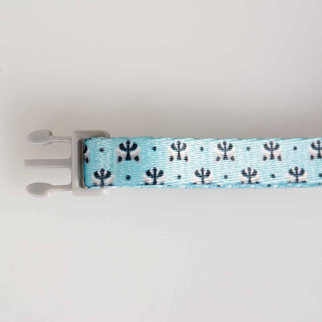 Cat Collar Raccoon