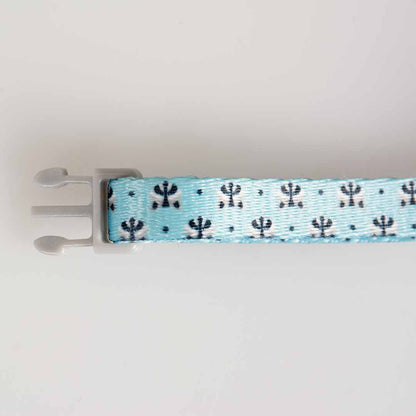 Cat Collar Raccoon
