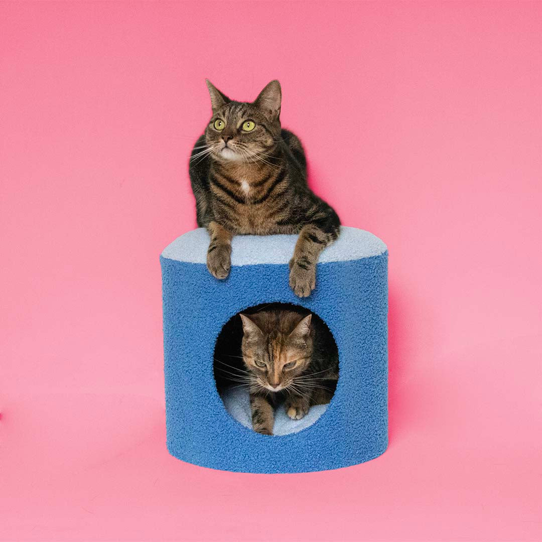 Cat House Happy House