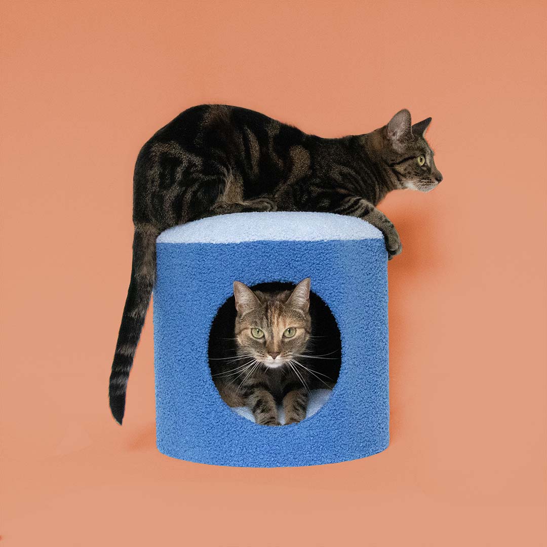 Cat House Happy House