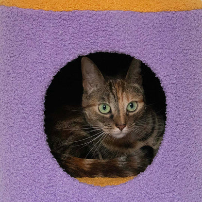 Cat House Happy House