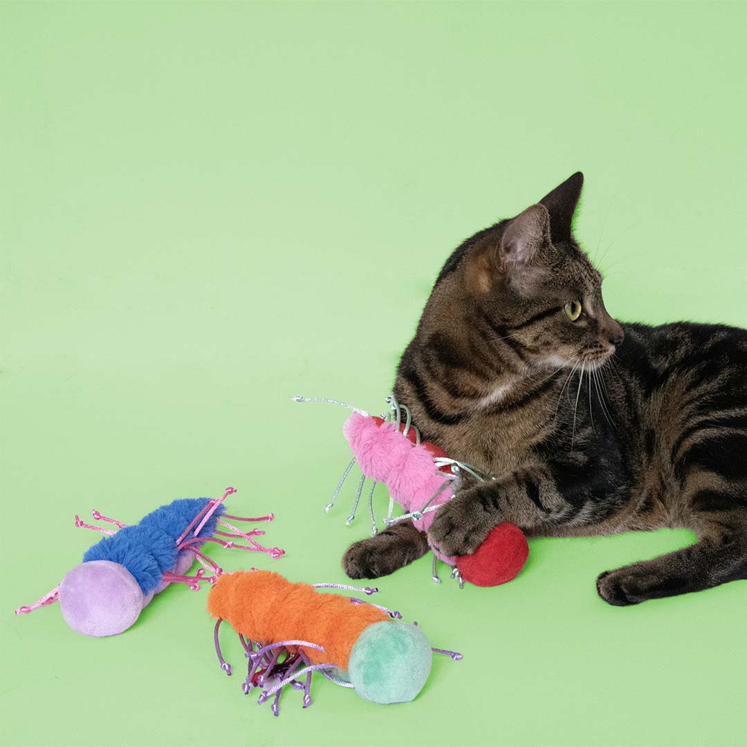 Cat Toy Razzle Ruby