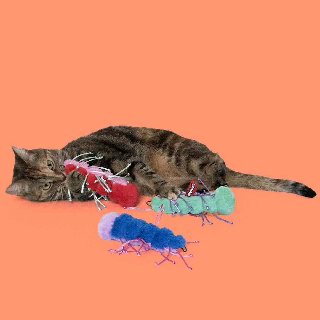 Cat Toy Razzle Ruby