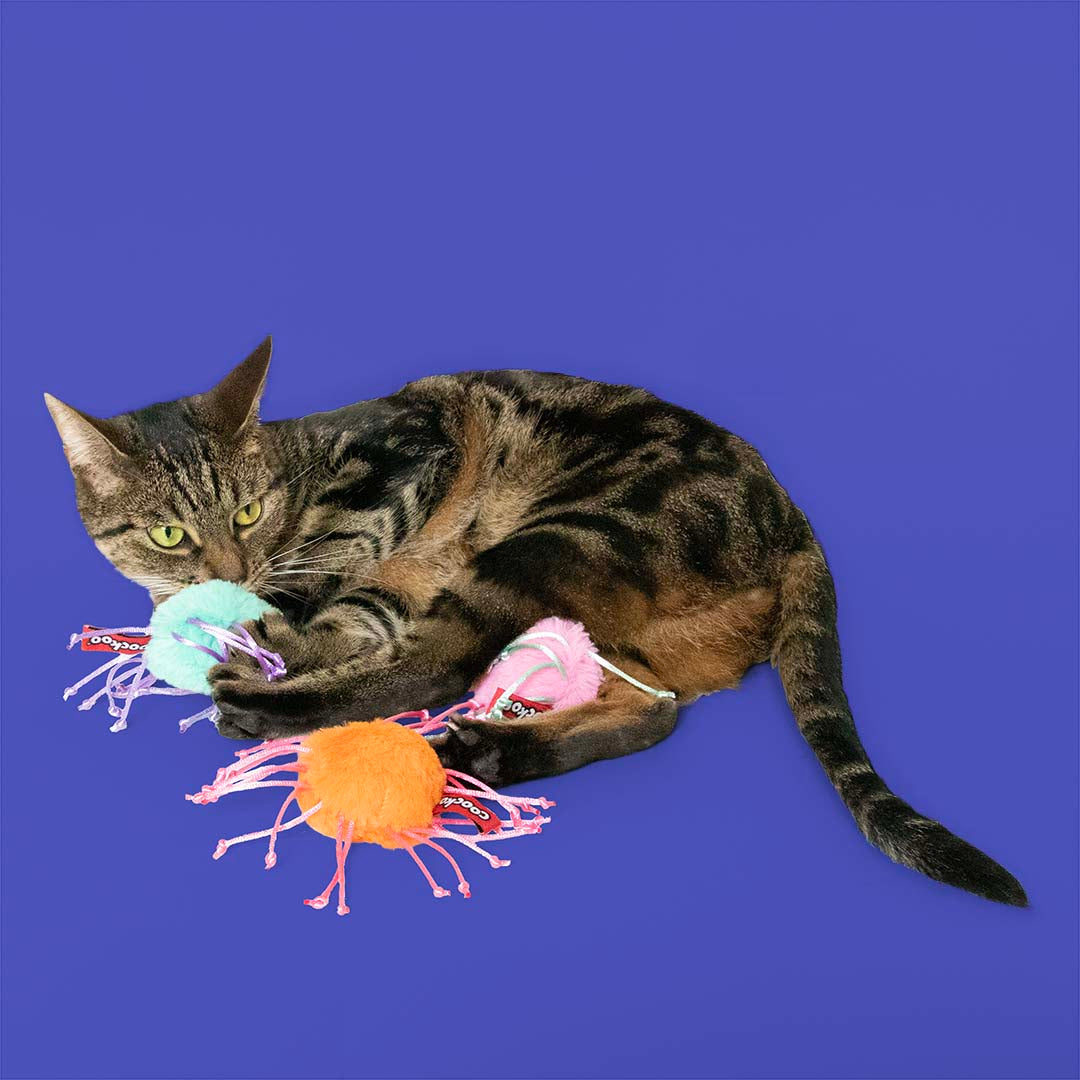 Cat Toy Rolly Ross