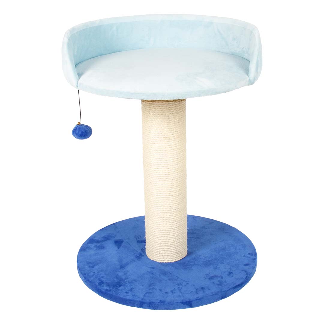 Cattree Berry Breeze Blue