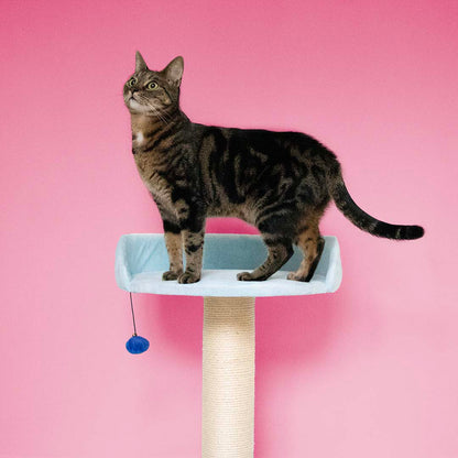 Cattree Berry Breeze Blue