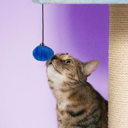 Cattree Berry Breeze Blue