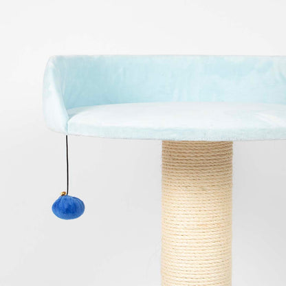 Cattree Berry Breeze Blue
