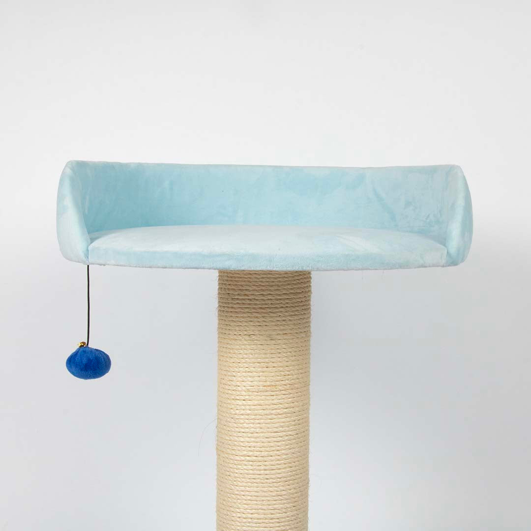 Cattree Berry Breeze Blue