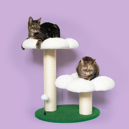 Cattree Flower Power Multicolor