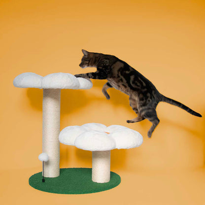 Cattree Flower Power Multicolor