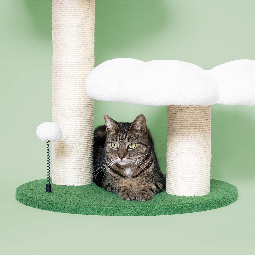 Cattree Flower Power Multicolor