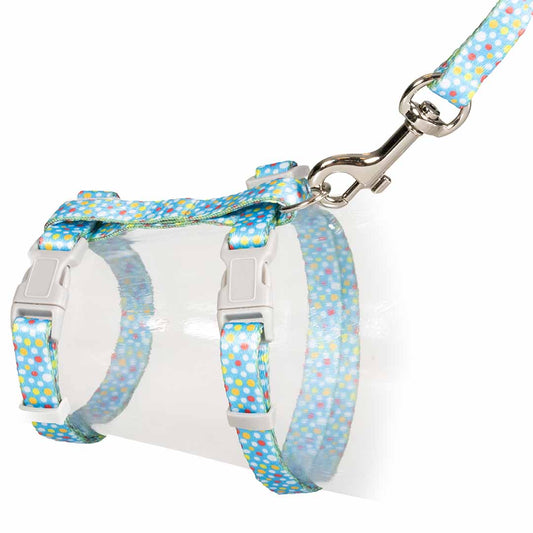 Cat Walking Set Colorful Balls
