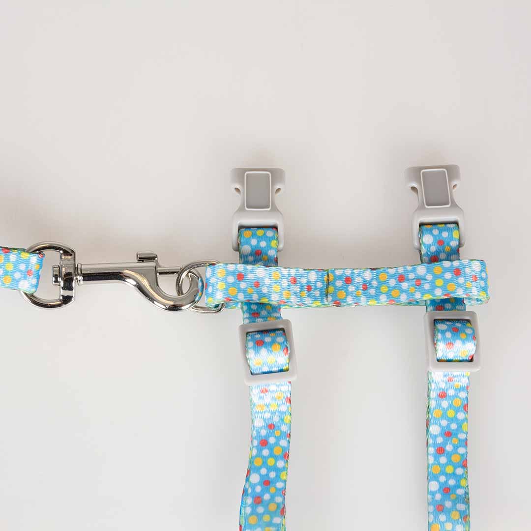 Cat Walking Set Colorful Balls