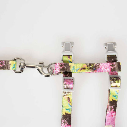 Cat Walking Set Flower Splash