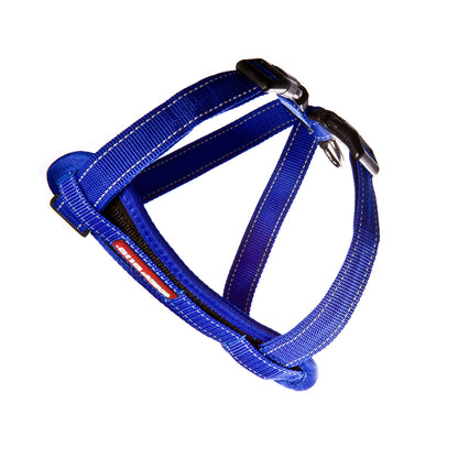 Chestplate Harness