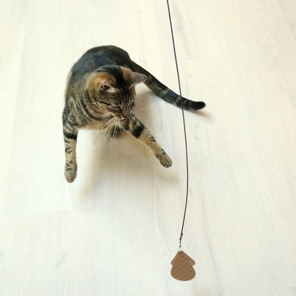 CONNOR - Refill set prey natural Beige