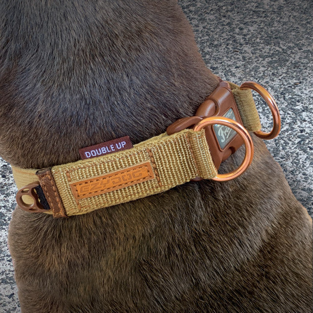 Corduroy: Double Up Collar