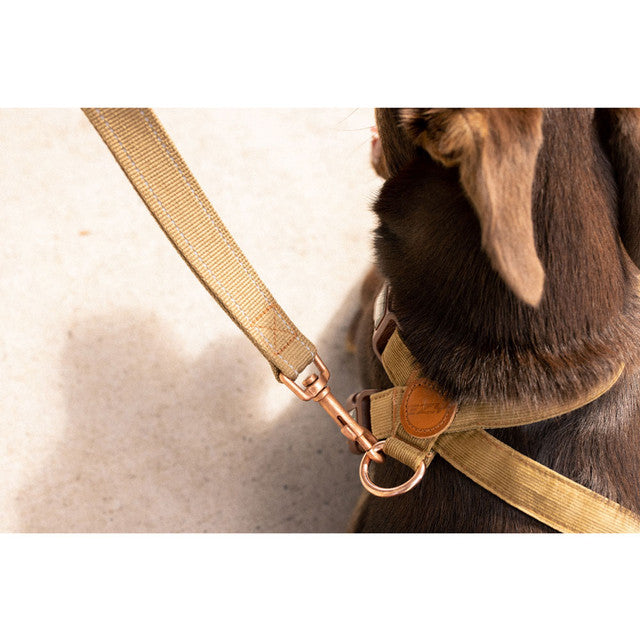 Corduroy: Chest Plate Harness