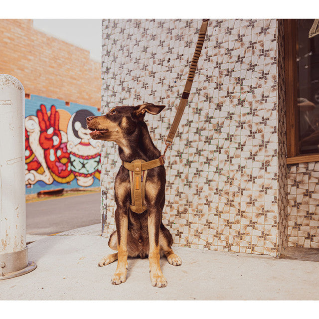 Corduroy: Chest Plate Harness