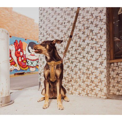 Corduroy: Chest Plate Harness