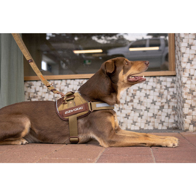Corduroy: Convert Harness