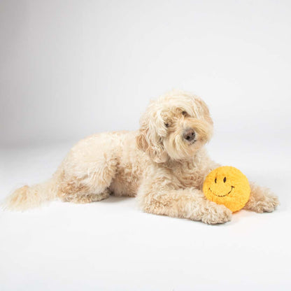 Cuddle Toy Giggly Gary