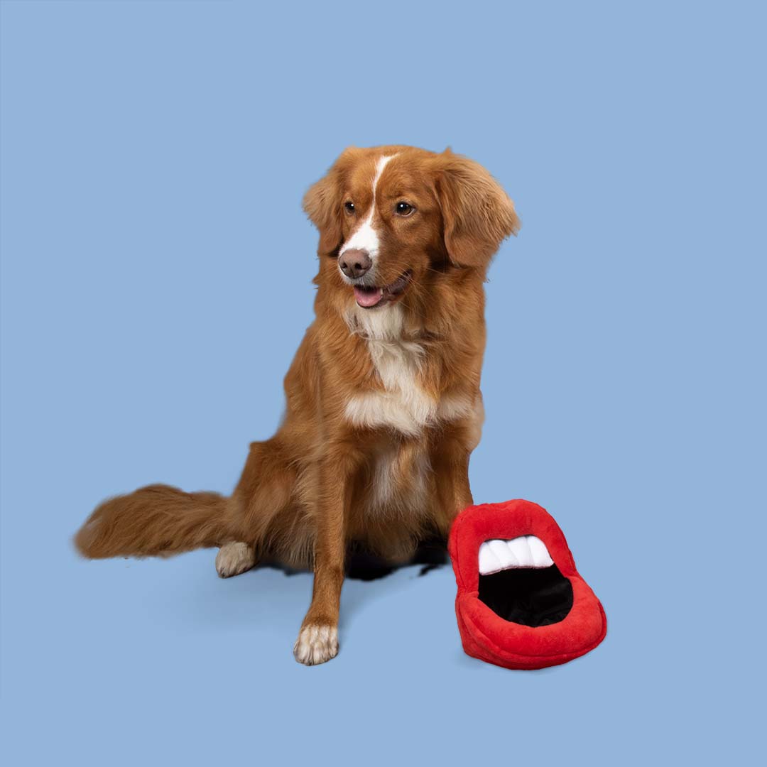 Cuddle Toy Happy Hangry