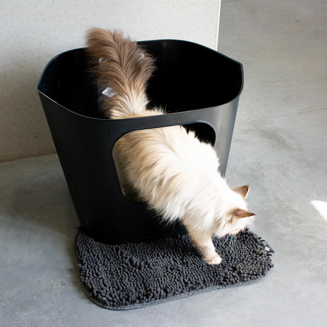 DAISY - Toilet mat Black