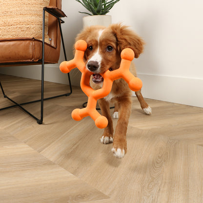 Dawg Science - dog toy