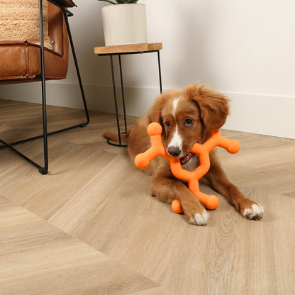 Dawg Science - dog toy