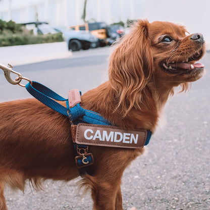 Denim Collection: Express Harness