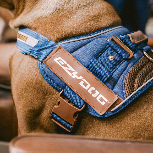 Denim Collection: Convert Harness