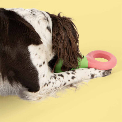 Dog toy DOODLE