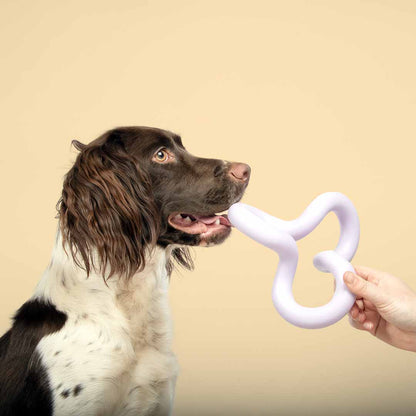 Dog toy FUNKY
