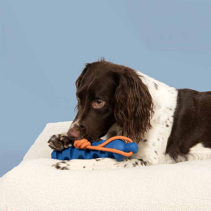 Dog toy GROOVY GRIP