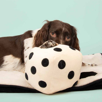 Dog toy with squeeker ROLL THE DICE