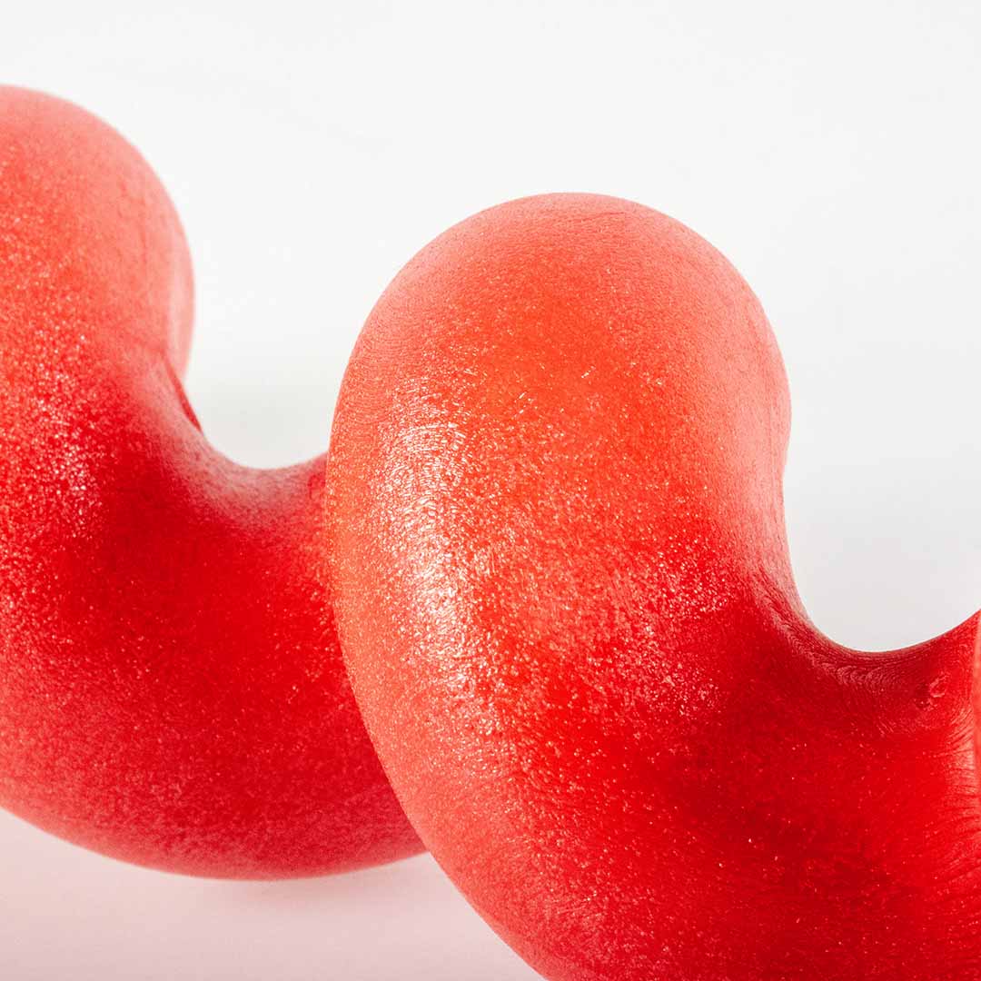 Dog toy SQUIGGLE