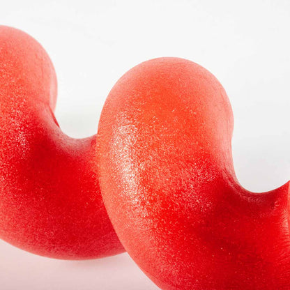 Dog toy SQUIGGLE