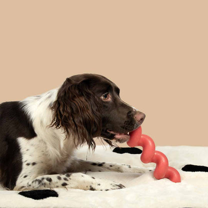 Dog toy SQUIGGLE