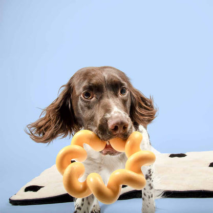 Dog toy SUNNY