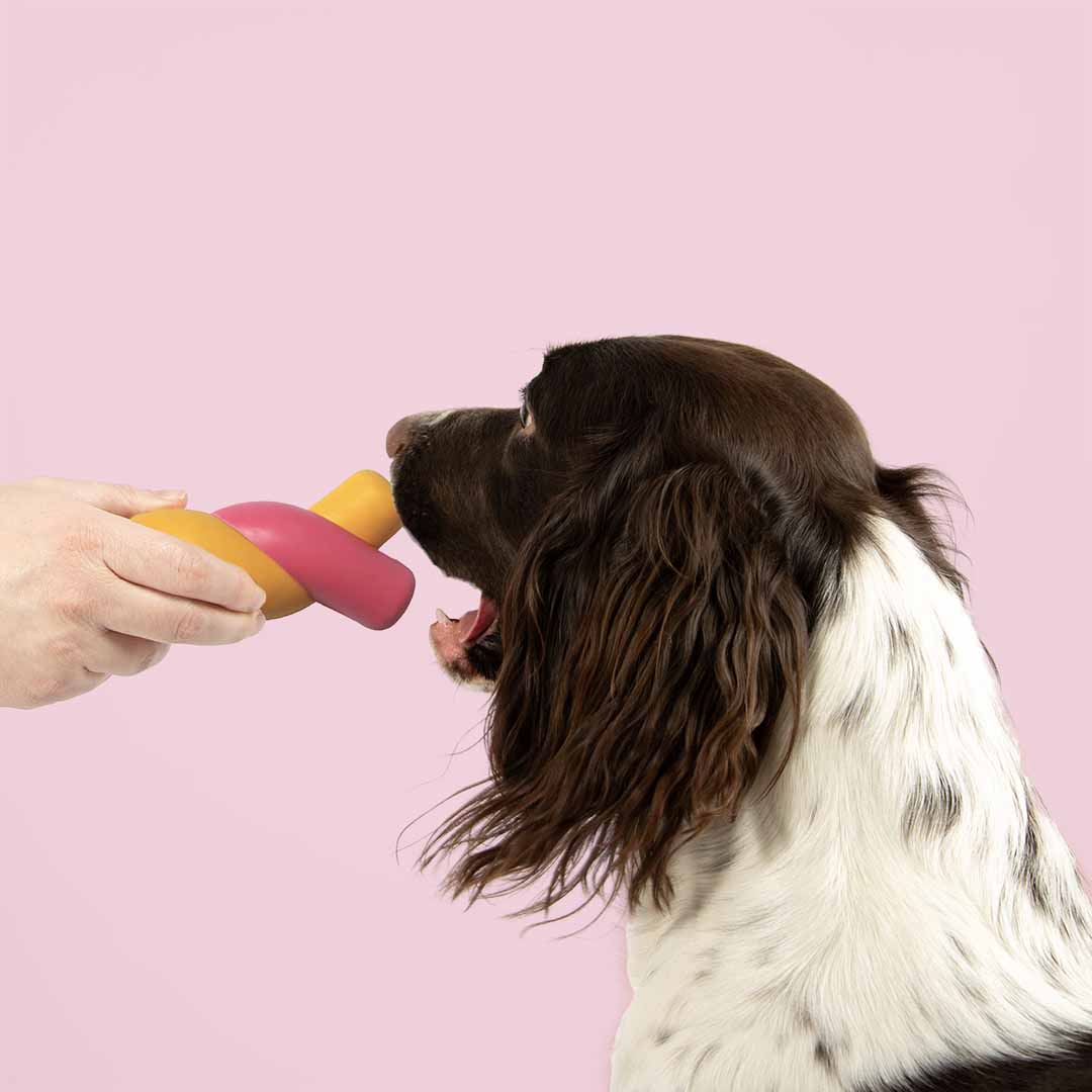 Dog toy TWISTED S'MORES
