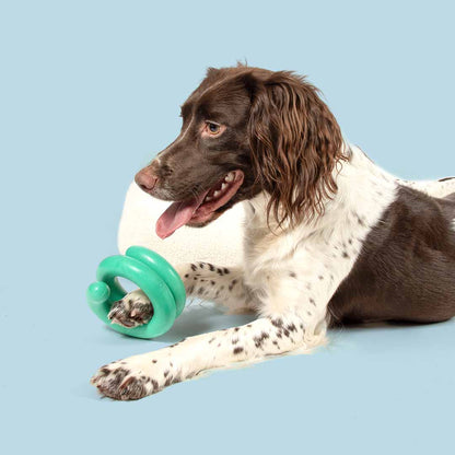 Dog toy WIGGLE