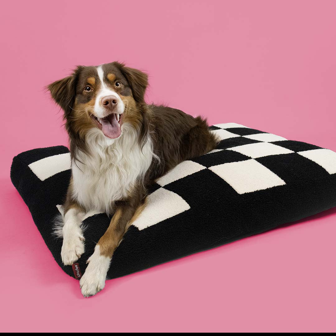 Dog Cushion Cozy Block
