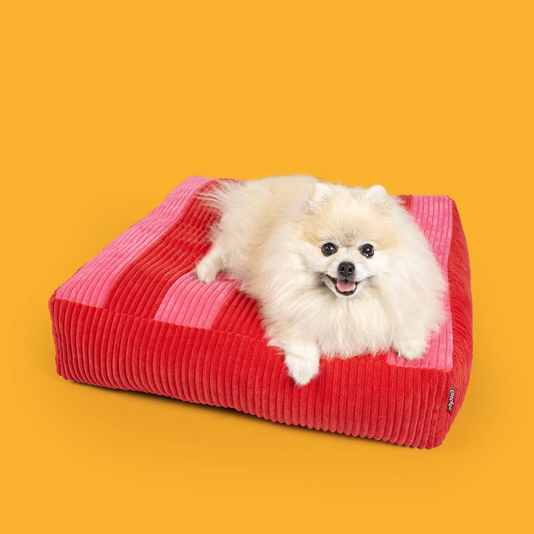 Dog Cushion Cozy Stripe