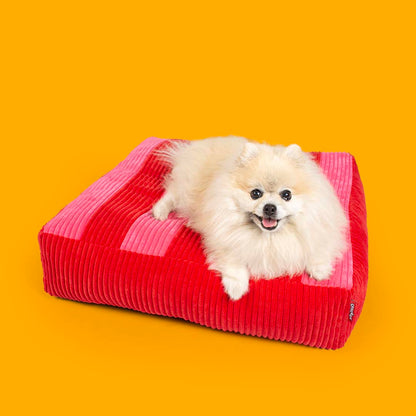 Dog Cushion Cozy Stripe